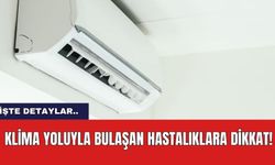 Klima yoluyla bulaşan hastalıklara dikkat!