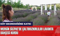 Mersin Silifke'de Çaltıbozkırlılar Lavanta Bahçesi kurdu