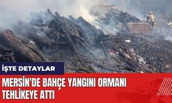 Mersin'de bahçe yangını ormanı tehlikeye attı