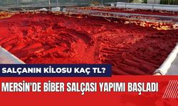 Mersin'de biber salçası yapımı başladı! Salçanın kilosu kaç TL?