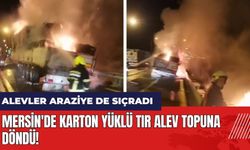 Mersin'de karton yüklü tır alev topuna döndü! Alevler araziye de sıçradı