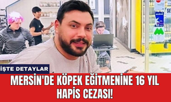 Mersin'de köpek eğitmenine 16 yıl hapis cezası!