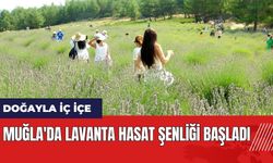 Muğla'da Lavanta Hasat Şenliği başladı