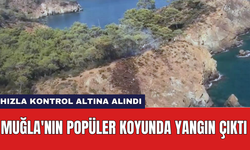 Muğla'nın popüler koyunda yangın çıktı