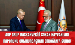 AKP Grup Başkanvekili Sokak Hayvanları Raporunu Cumhurbaşkanı Erdoğan'a Sundu