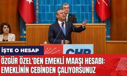 Özgür Özel'den emekli maaşı hesabı: Emeklinin cebinden çalıyorsunuz