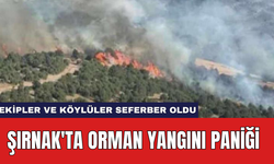 Şırnak'ta orman yangını paniği: Ekipler ve köylüler seferber oldu