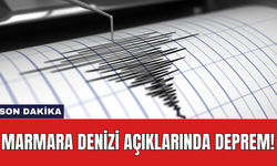 Son Dakika: Marmara Denizi açıklarında deprem!