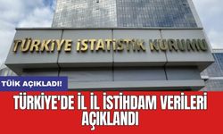 Türkiye'de il il istihdam verileri açıklandı