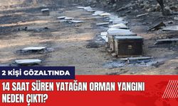 14 saat süren Yatağan orman yangını neden çıktı? İşte yangının çıkış yeri