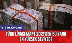 Türk lirası Mart 2021'den bu yana en yüksek seviyede