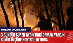 3 gündür süren Aydın'daki orman yangını büyük ölçüde kontrol altında!