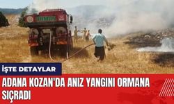 Adana Kozan'da anız yangını ormana sıçradı