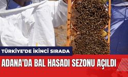 Adana'da bal hasadı sezonu açıldı