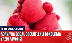 Adana'da doğal böğürtlenli dondurma yazın favorisi