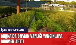 Adana’da orman varlığı yangınlara rağmen arttı