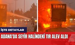 Adana'da seyir halindeki tır alev aldı