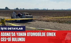 Adana'da yanan otomobilde erkek ces*di bulundu