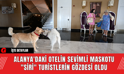 Alanya'daki Otelin Sevimli Maskotu "Siri" Turistlerin Gözdesi Oldu