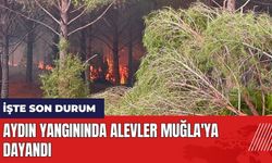 Aydın yangınında alevler Muğla'ya dayandı