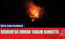 Bodrum'da orman yangını korkuttu