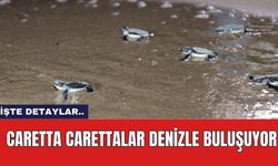 Caretta Carettalar Denizle Buluşuyor