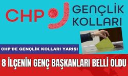 8 İlçenin Genç Başkanları Belli Oldu! CHP Gençlik Kolları Seçimleri Sürüyor