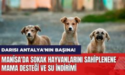 Darısı Antalya'nın başına! Manisa'da sokak hayvanlarını sahiplenenlere mama desteği ve su indirimi