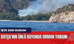 Datça'nın ünlü koyunda orman yangını