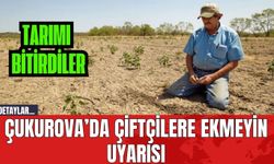 Çukurova’da Çiftçilere Ekmeyin Uyarısı