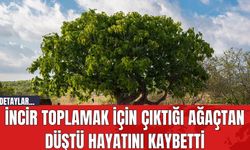 İncir Toplamak İçin Çıktığı Ağaçtan Düştü Hayatını Kaybetti