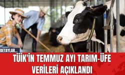 TÜİK'in Temmuz Ayı Tarım-ÜFE Verileri Açıklandı