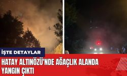 Hatay Altınözü'nde ağaçlık alanda yangın çıktı