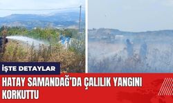 Hatay Samandağ’da çalılık yangını korkuttu