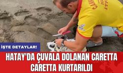 Hatay'da çuvala dolanan caretta caretta kurtarıldı