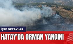 Hatay'da orman yangını