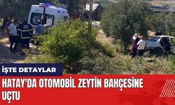 Hatay'da otomobil zeytin bahçesine uçtu