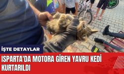 Isparta'da motora giren yavru kedi kurtarıldı