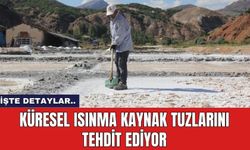 Küresel ısınma kaynak tuzlarını tehdit ediyor