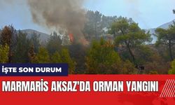 Marmaris Aksaz'da orman yangını