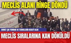 Meclis Sıralarına Kan Döküldü! Ahmet Şık Yumrukların ve Tekmelerin Hedefi Oldu