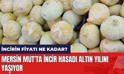 Mersin Mut'ta incir hasadı altın yılını yaşıyor