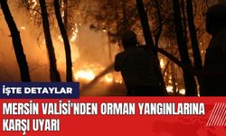 Mersin Valisi'nden orman yangınlarına karşı uyarı