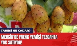 Mersin'de frenk yemişi tezgahta! 1 frenk yemişi kaç lira?