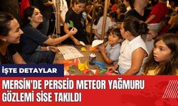 Mersin'de Perseid meteor yağmuru gözlemi sise takıldı