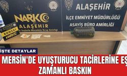 Mersin'de uyuşturucu tacirlerine eş zamanlı baskın