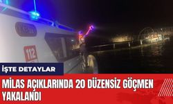 Milas açıklarında 20 düzensiz göçmen yakalandı