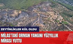 Milas'taki orman yangını yüzyıllık mirası yuttu