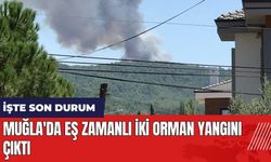 Muğla'da eş zamanlı iki orman yangını çıktı