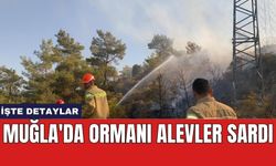 Muğla'da ormanı alevler sardı